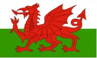 Wales World Cup 2022 Flags